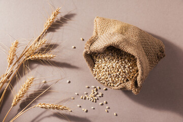 Wall Mural - Organic uncooked dried barley cereal grain in a burlap bag with ears of wheat on beige background. Healthy and diet food concept.