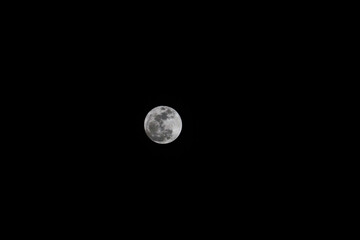 full moon in the night