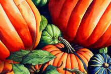 Watercolor Illustration Of Pumpkins