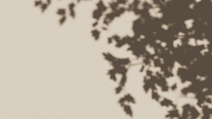 Shadow of moving tree leaves on the wall loopable background. 3d render