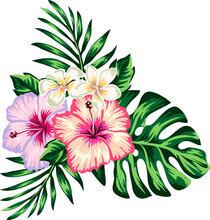 Tropical Collection With Exotic Flowers And Leaves, Tropical Flowers And Parrot, Isolate Individual PNG Objects.