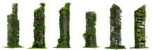 Set Of Ruined Overgrown Skyscrapers, Tall Post-apocalyptic Buildings Isolated On White Background