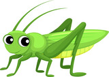 Fototapeta Dinusie - Grasshopper cartoon insect, locust kids character