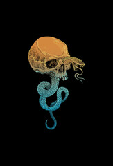 Skull head with snake illustration