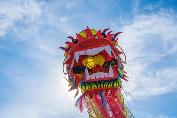 Wall Mural - A head of Chinese Dragon dance in the Chinese new year festival. Lion and dragon dance during Chinese New Year celebration. Group of people perform a traditional lion dance.