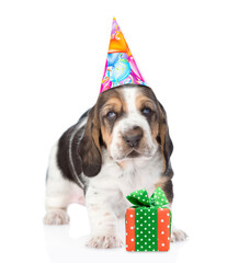 Poster - Basset hound puppy wearing party cap standing with gift box. isolated on white background