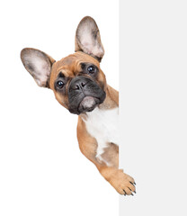 Wall Mural - French Bulldog puppy looks from behind empty white banner. Isolated on white background