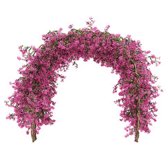 Wall Mural - 3d rendering of Bougainvillea creeping isolated