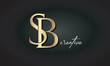 SB letters luxury jewellery fashion brand monogram, creative premium stylish golden logo icon