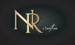 NR letters luxury jewellery fashion brand monogram, creative premium stylish golden logo icon