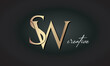 SW letters luxury jewellery fashion brand monogram, creative premium stylish golden logo icon
