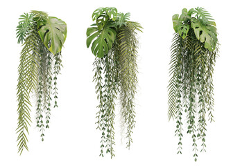 Wall Mural - 3d rendering of hanging plant isolated