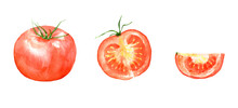Watercolor Illustration Of Tomato Set	With Transparent Background