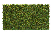 3d Rendering Of Vertical Garden Isolated