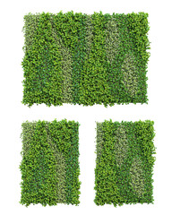 Fototapete - 3d rendering of vertical garden isolated