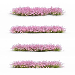 Fototapete - 3d rendering of muhly grass isolated