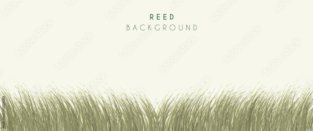 Sea reed vector background design, wild reed in the beach, beach with ...