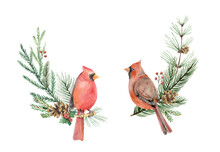 Christmas Watercolor Vector Wreaths With Cardinal Birds, Fir Branches And Cones.