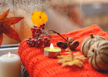 Autumn Leaves With An Orange Scarf A Candle A Cone Acornes Cinnamon Pumpkin Autumn Berry Anoce On The Windowsill In Rainy Weather