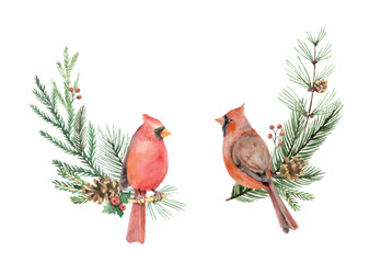 Wall Mural - christmas watercolor vector wreaths with cardinal birds, fir branches and cones.
