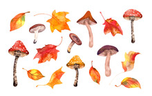 Autumn Set - Seasonal Leaves, Mushrooms. Natural Watercolor Collection Of Woodland. Hand Painted Fall, Park Illustration Clip Art