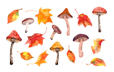 Wall Mural - Autumn set - seasonal leaves, mushrooms. Natural watercolor collection of woodland. Hand painted fall, park illustration clip art