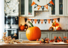 Autumn Background For The Halloween Holiday. Pumpkin On Wooden Table In Kitchen