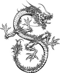 Wall Mural - Chinese or Japanese Oriental Dragon