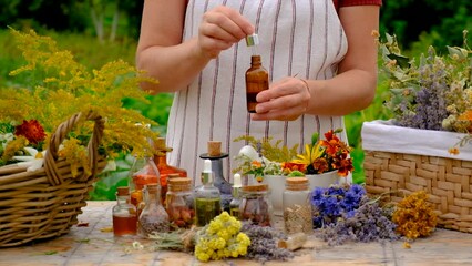 Wall Mural - Woman makes tincture with medicinal herbs. Selective focus.