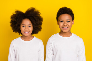 Wall Mural - Portrait of two positive cheerful siblings toothy smile look camera isolated on yellow color background