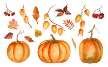 Autumn Big Set With Orange Watercolor Pumpkins And Fall Yellow Leaves On White Isolated Background. Red Berry Of Ashberry And Physalis Branches. Hand Drawn Illustration