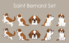 Simple And Adorable Saint Bernard Dog Illustrations Set
