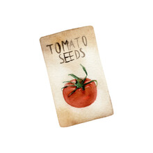 Watercolor Hand-drawn Pack Of Tomato Seeds Illustration Isolated On White Background. Gardening Collection. Icon, Cards, And Logo