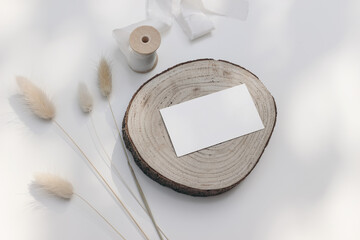 Wall Mural - Autumn, winter stationery still life. Blank business card, invitation mockup on cut wooden round board. Dry lagurus grass, silk ribbon on white table background in sunlight. Flatlay, top view.