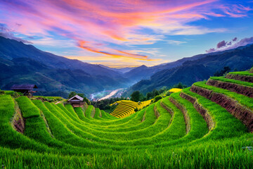 Beautiful Rice terraces at sunset in Mu cang chai, Vietnam.