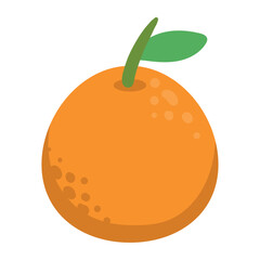 Wall Mural - orange fruit icon