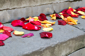 Wall Mural - after the wedding background - rose petals on a concrete staircase