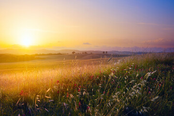 art abstract art rural landscape; autumn sunny meadow