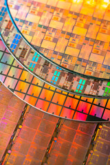 Wall Mural - Silicon Wafer with microchips used in electronics for the fabrication of integrated circuits.