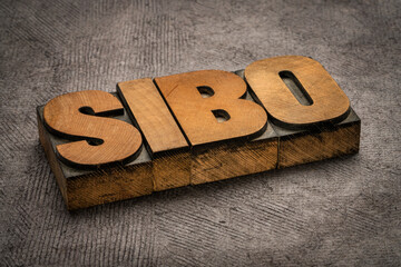 Wall Mural - SIBO (small intestinal bacterial overgrowth) - word abstract in vintage letterpress wood type, digestion and gut health concept