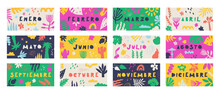 Text In Spanish, Translation - January, February, March, April, May, June, July, August, September, October, November, December. Set Of Banners Of Colorful Doodle Flora Backgrounds. Vector.
