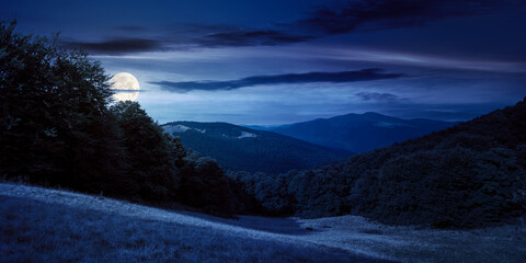 Wall Mural - alpine meadows at night in summer. beech forest on the hill in full moon light. mountain ridge in th