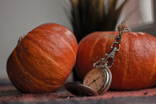 Vintage Retro Pocket Watch Near Autumn Orange Pumpkins On A Checkered Woolen Old Blanket Next To A Potted Green Plant Near The Window.