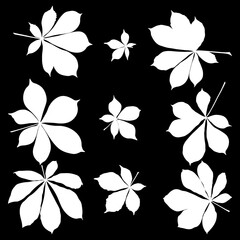 Wall Mural - Set of vector chestnut leaf white silhouette icon. Simple chestnut leaves illustration for logo. Realistic hand drawn leaves illustration set on black background.