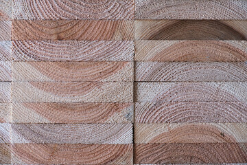 Wall Mural - texture of wood