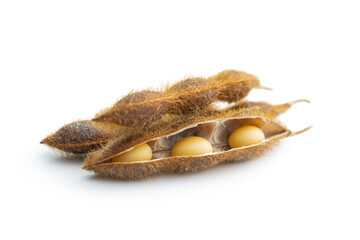 Wall Mural - Soy beans. Dried soybean pod isolated on white background.