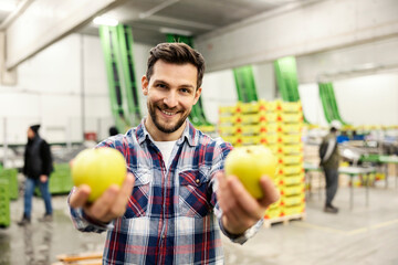 Wall Mural - A happy fruit factory worker offering apples while standing in storage.