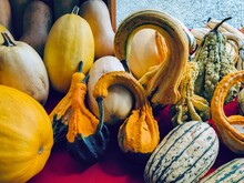 Gourds - Gooseneck, Striped, Yellow And Tan