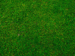 Green grass texture background Top view of bright grass garden Idea concept used for making green backdrop. lawn for training football pitch. green lawn pattern textured background.