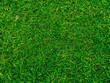 Green grass texture background Top view of bright grass garden Idea concept used for making green backdrop. lawn for training football pitch. green lawn pattern textured background.